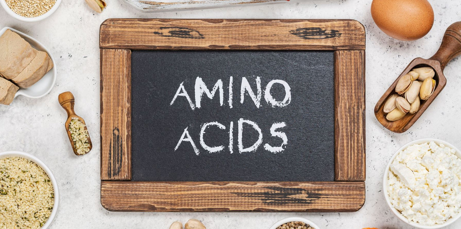 What Are the Essential Amino Acids? Al Nutritech